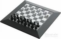 Набор 2 в 1 Шахматы + шашки магнитные Viivsc QX8418