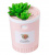 Usb увлажнитель воздуха Foonee Succulents mini, розовый