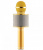 Беспроводной Bluetooth караоке микрофон WSTER WS-858 золотой