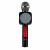 Беспроводной Bluetooth караоке микрофон с колонкой WSTER WS-1816 черный
