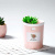 Usb увлажнитель воздуха Foonee Succulents mini, розовый