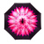 Зонт обратного сложения полуавтомат (зонт наоборот) Розовый цветок