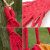 Гамак плетеный полотняный одноместный радуга 200х90 см