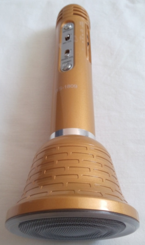 Беспроводной микрофон-караоке с встроенной колонкой WSTER WS-1809 Золотой