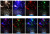 Светильник Ночник-проектор Star Master "Звездное небо" вращающийся фиолетовый